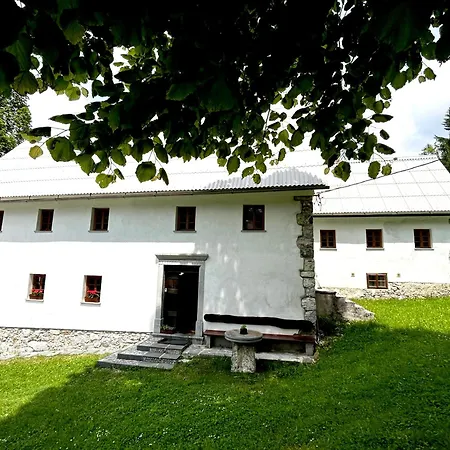 Domacija Gacnik * Idrija