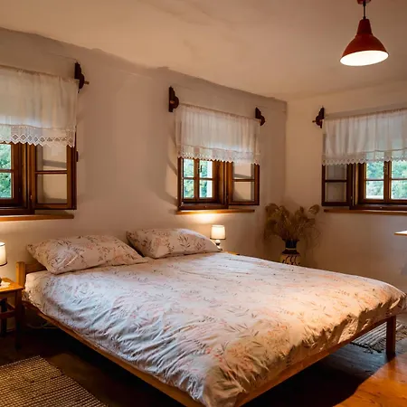 Holiday home Domacija Gacnik