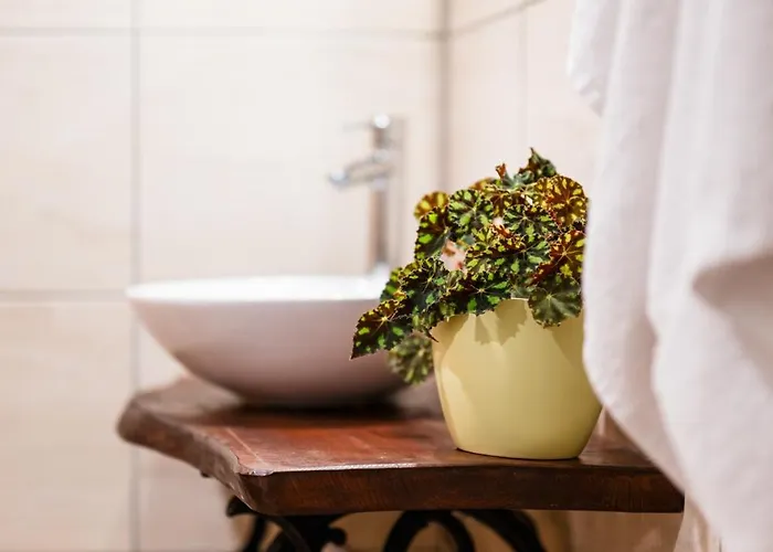 Domacija Gacnik イドリヤ